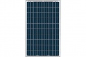 Solar Panel Poly type 250W